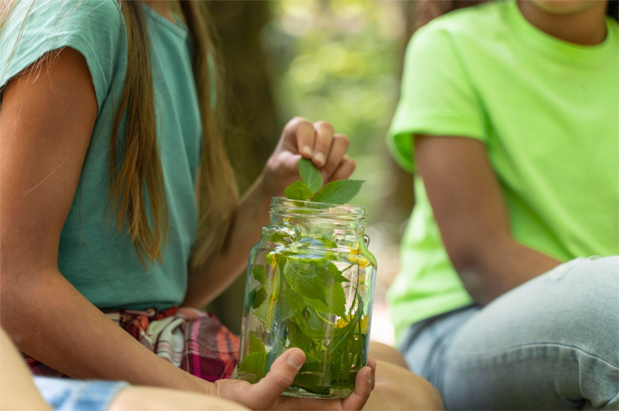 college-jean-yole-les-herbiers-vendee-eco-delegue